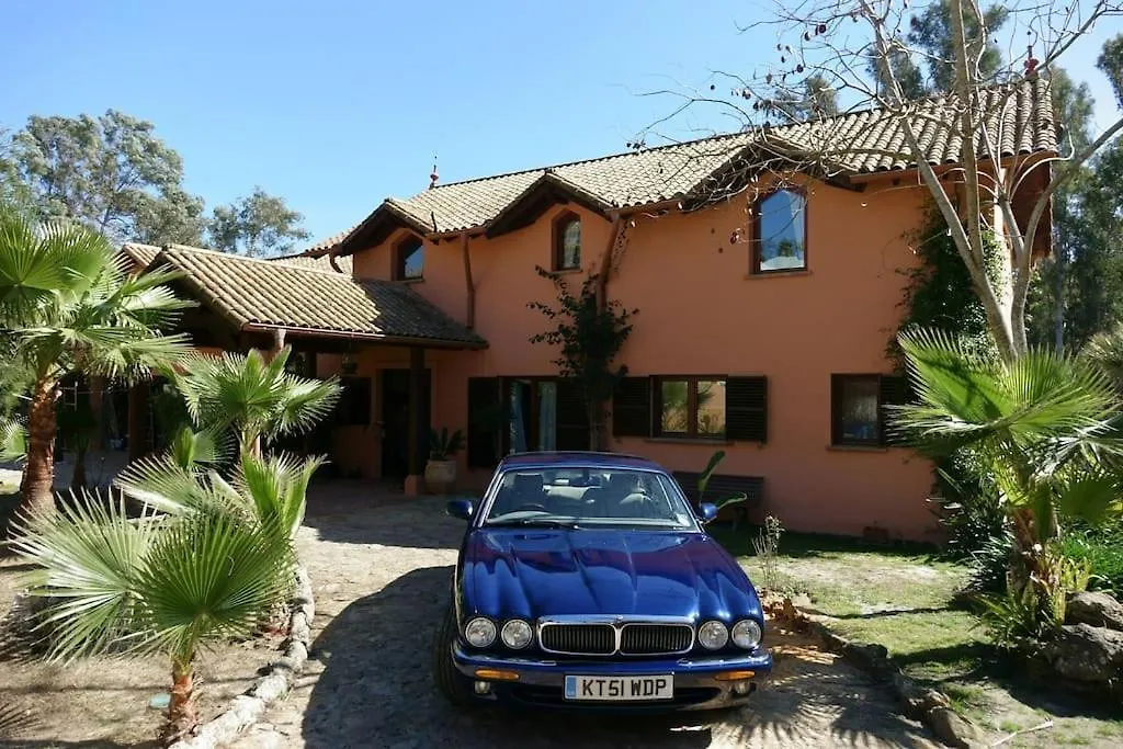 Exotic Tropical Villa W/ Large Pool In Sotogrande! San Roque