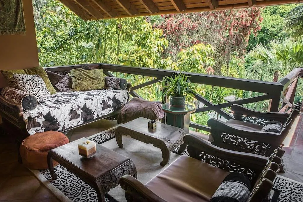 Exotic Tropical Villa W/ Large Pool In Sotogrande! San Roque