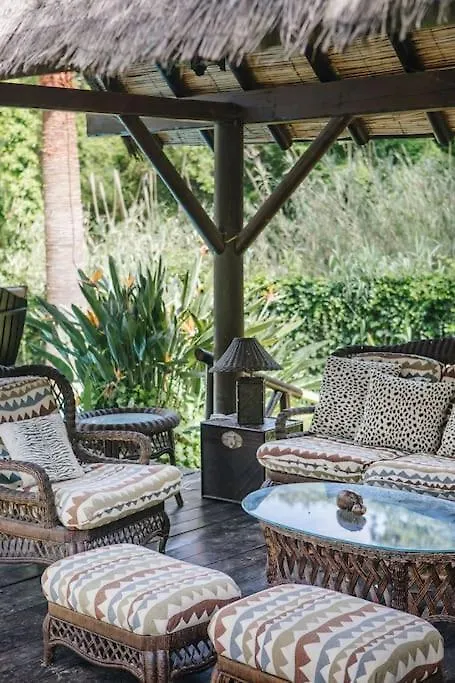 Exotic Tropical Villa W/ Large Pool In Sotogrande! San Roque  Spain