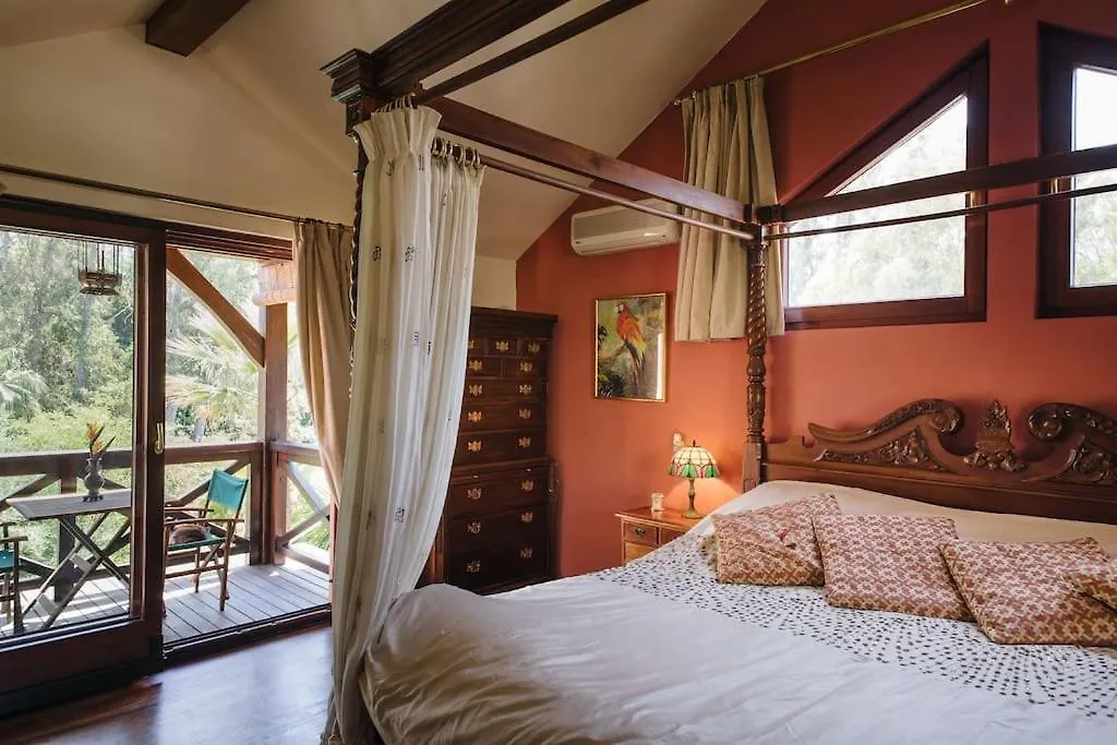 Exotic Tropical Villa W/ Large Pool In Sotogrande! San Roque